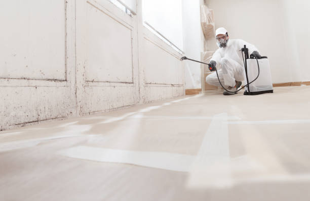 24/7 Emergency Commercial Mold Remediation experts in Courtland, VA