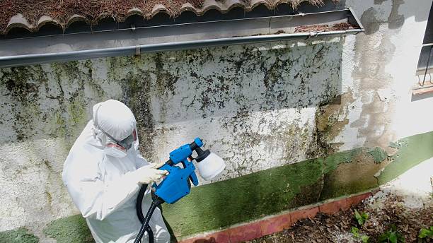 Trusted Commercial Mold Remediation service in Courtland, VA - Cheap Mold Removal
